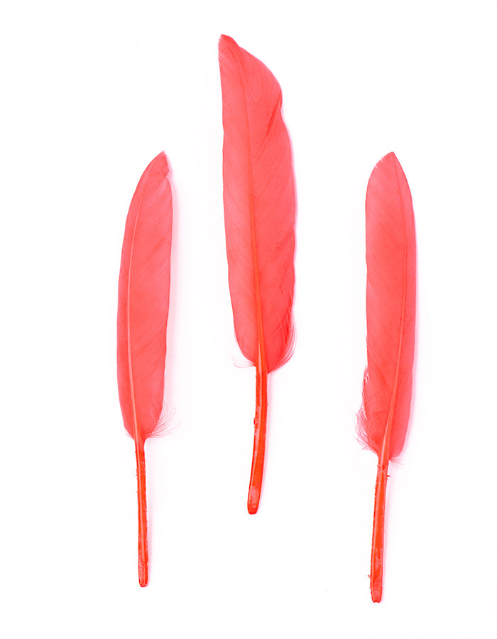 Număr de puncte de acces roz AFROline (1db)